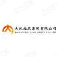 大汉城镇建设有限公司